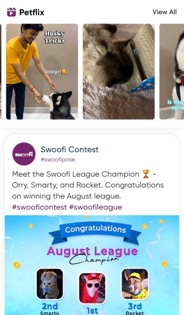 Swoofi: The Social App Built for Pets and Parents/ Petflix