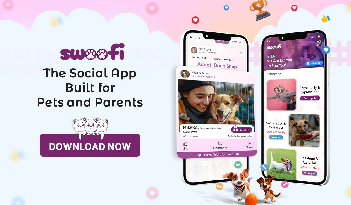 Swoofi: The Social App Built for Pets and Parents