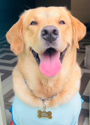 Rio pet influencer/ swoofi pet parent app