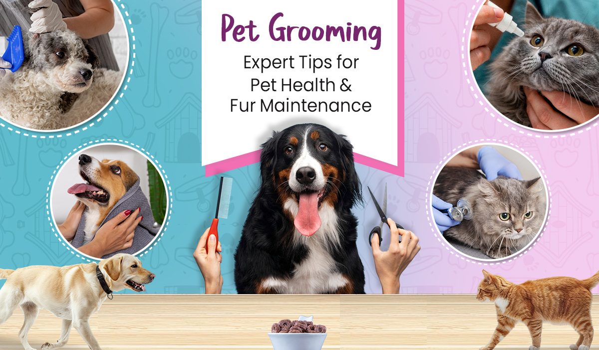 Pet grooming expert tips - by swoofi