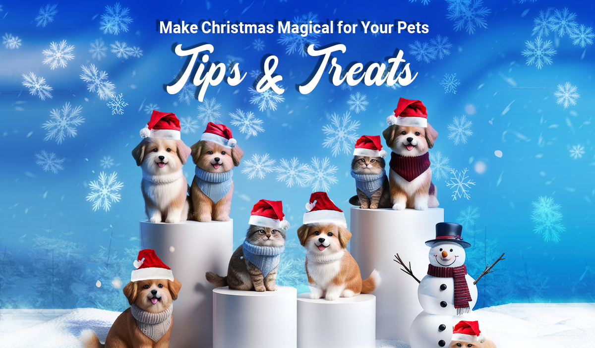 Celebrating christmas with pets