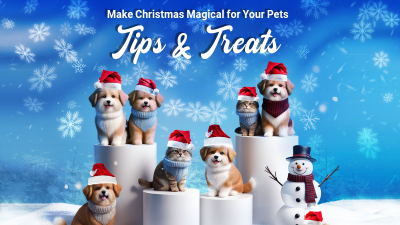 Celebrating christmas with pets