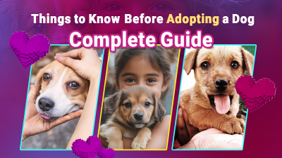 Things to Know Before Adopting a Dog: Complete Guide/ Swoofi