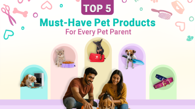 Top must-have pet parent products for every pet parent