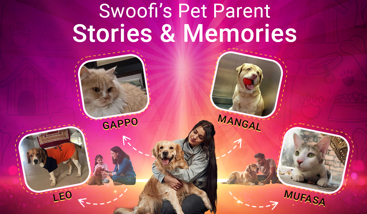 Swoofi pet parent's stories