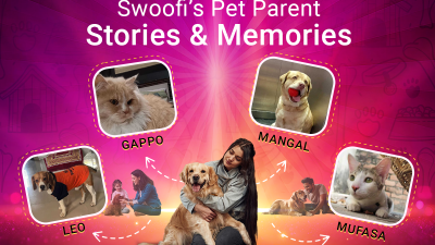 Swoofi pet parent's stories
