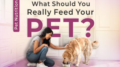 What should you really feed your pet - swoofi