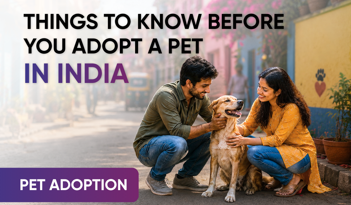 Things to Know before you adopt a Pet in India