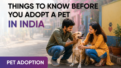 Things to Know before you adopt a Pet in India